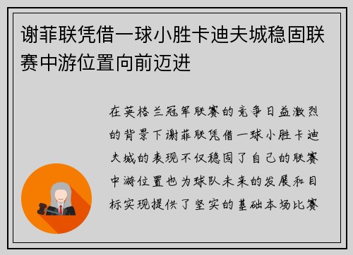 谢菲联凭借一球小胜卡迪夫城稳固联赛中游位置向前迈进